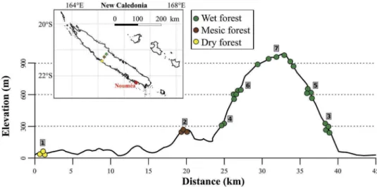 Figure 1. Location of the study sites (grey squares) and plots (circles) across an elevation gradient, New Caledonia.
