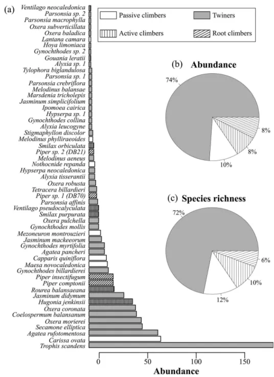 Figure 2. Ranking of families according to their (a) abundance and (b) richness of liana species, New Caledonia.