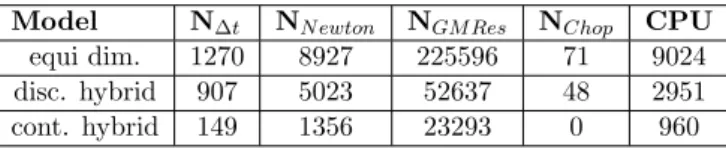 Table 3: N ∆t is the number of successful time steps; N N ewton is the total number of Newton iterations (for successful time steps); N GM Res is the total number of GMRes iterations (for successful time steps); N Chop is the number of time step chops; CPU