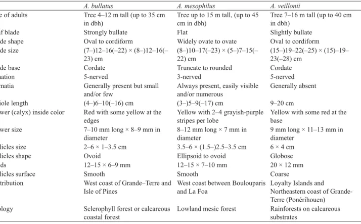 TABLE 1. Observations and morphological characters used to compare the three related species, A