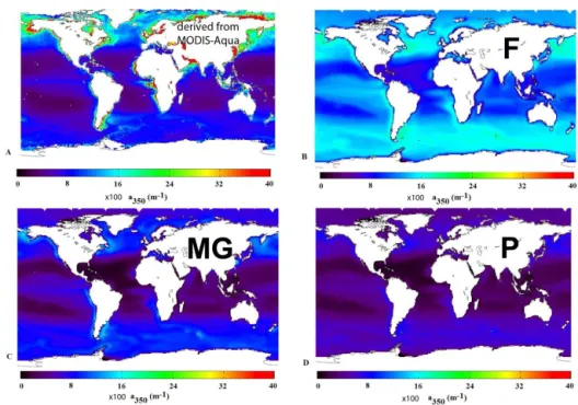 Figure 6. Comparison between annual mean surface absorption coefficient of CDOM at 350 nm: (a) retrieved from MODIS Aqua satellite data, using SeaUV model (Fichot et al., 2008) and a 320 / K d320 ratio from Fichot and Miller (2010), and a 350 maps simulate