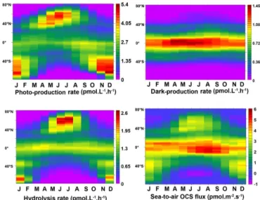 Figure 8. Latitude–time plots comparing relative importance of individual processes for OCS production (top row) and removal (bottom row) in NEMO-PISCES surface layer