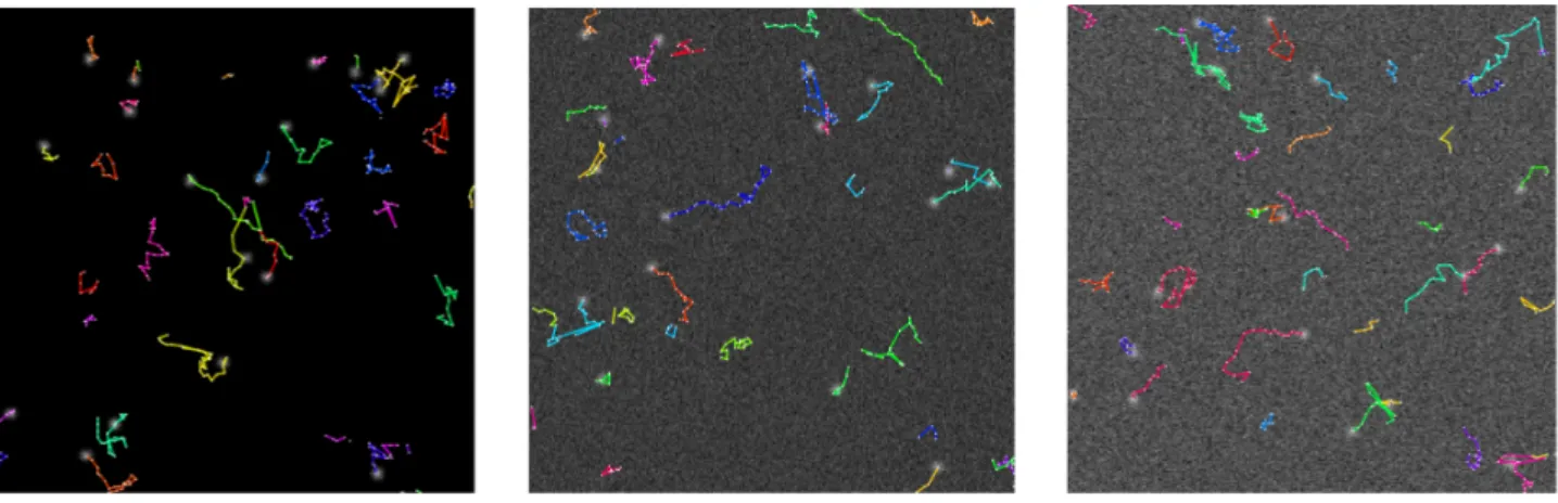Figure 3. Detection and tracking results on synthetic biological image sequences created using Icy software [6]