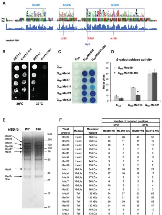Figure 1. Phenotypes of the med10-196 mutant. (A) Location of the mutations in med10-196