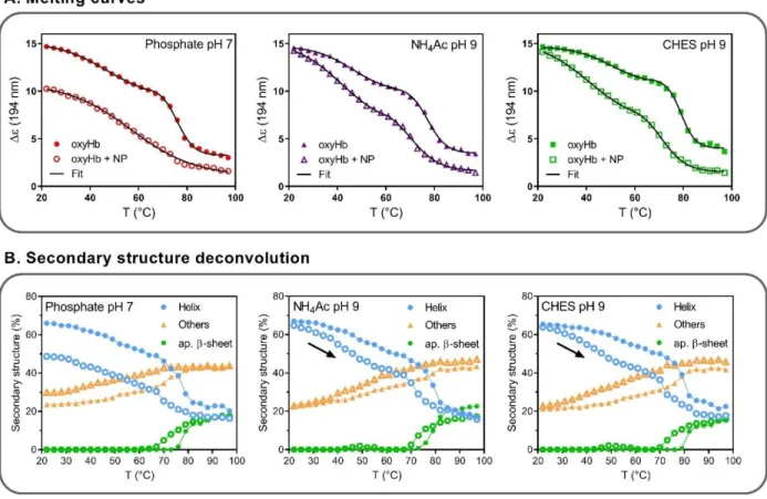 Table 2. Percentage of oxyHb adsorbed on SNPs (top line)  and  difference  in  the  helical  content  of  oxyHb  with  and  without SNPs (below, in italics) at 22°C, 40°C, 50°C in  phos-phate  buffer  pH  7,  in  NH 4 Ac  buffer  pH  9,  and  in  CHES  buf