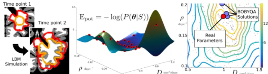 Fig. 2: a) Two synthetic time points with the simulated T1Gd and T2-FLAIR abnormalities (orange and red resp.)