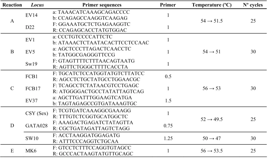 Table 1. PCR conditions for multiplex analysis of microsatellites for the Physeter macrocephalus: list of loci used for each reaction, primer  sequences and PCR conditions (primer proportions, annealing temperatures with → indicating first and last cycle t