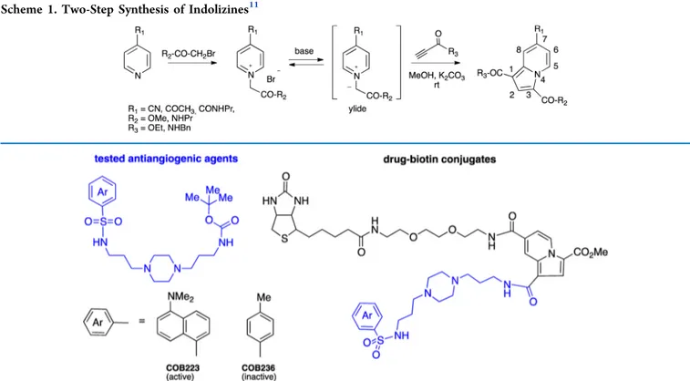 Figure 1. Antiangiogenic agents 19 and their biotin-tagged analogues.