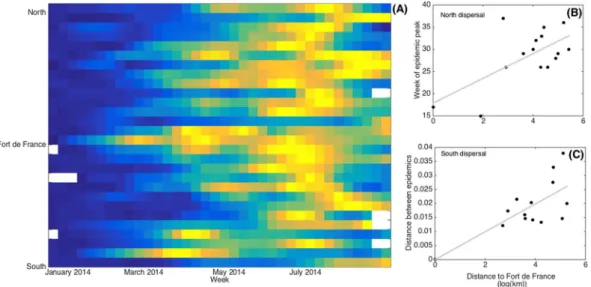 Figure 2.  Invasion sequence of the Chikungunya outbreak based on similarity of epidemiological dynamics  between each locality and Fort-de-France (similarity has been quantified through Euclidean distance between  time series, see main text for more detai