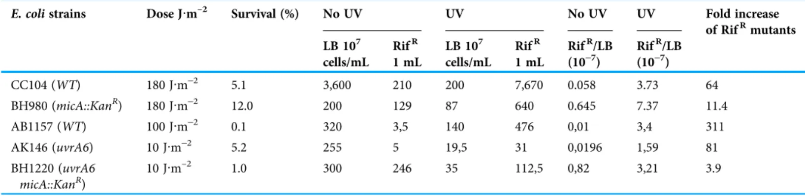 Figure 4 Graphic representation of the UV-induced increase in mutation frequencies in E