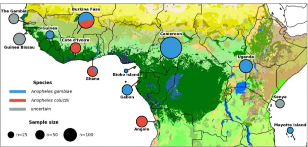 Figure 1. Ag1000G phase 2 sampling locations. Color of circle denotes species, and area represents sample size
