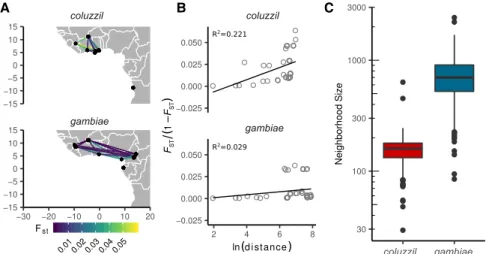 Figure 3. Comparison of isolation by distance between A. coluzzii and A. gambiae populations from locations in West and Central Africa north of the equatorial rainforest
