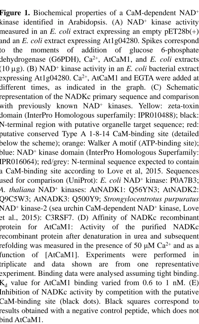 Figure 1. Biochemical properties of a CaM-dependent NAD + kinase identified in Arabidopsis
