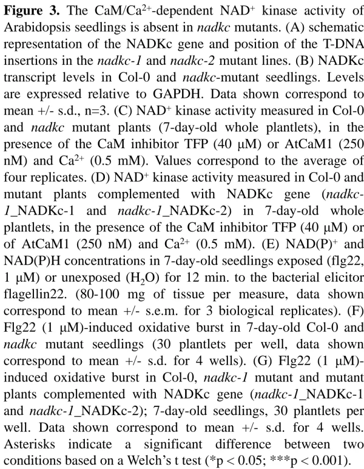 Figure 3. The CaM/Ca 2+ -dependent NAD + kinase activity of Arabidopsis seedlings is absent in nadkc mutants