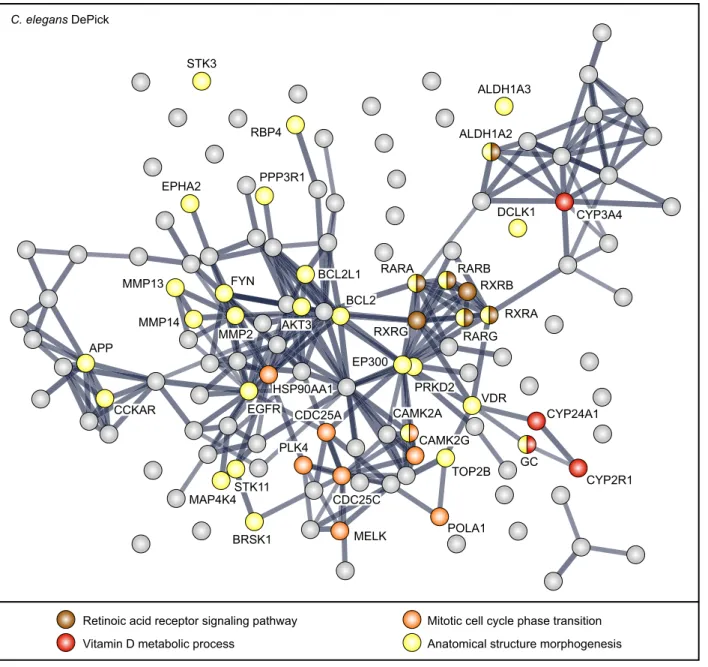 Figure 3. STRING network clustering for interactions of C. elegans DePick target proteins.