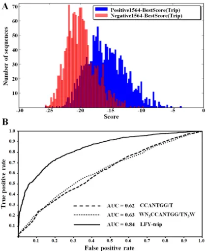 Fig 2. The performance of a TF model can be evaluated by its capability to discriminate between bound and non-bound regions as determined from a ChIP-Seq experiment