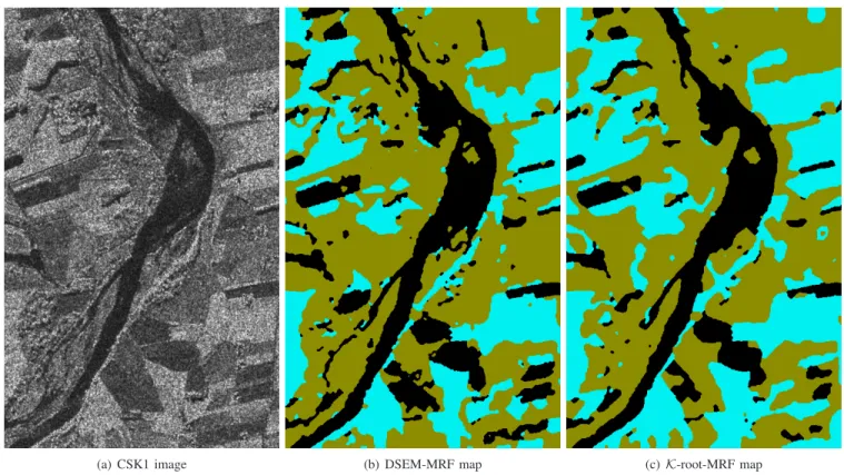 Fig. 3. (a) CSK1 image (500 × 800) in HH polarization, and classification results (water ¥, wet soil ¥, dry soil ¥): (b) DSEM-MRF and (c) K-root-MRF classification maps.