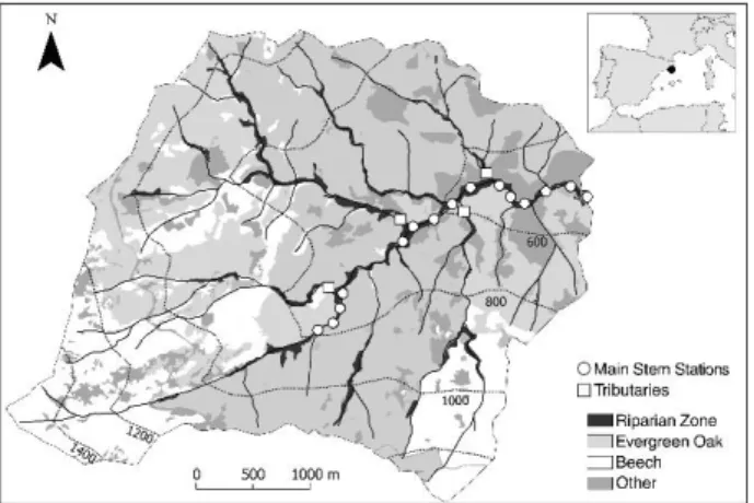 Figure 2. Map of the Font del Regàs catchment (NE Spain). The map shows the vegetation cover and  the stream sampling sites along the 3.7 km section (n = 15)