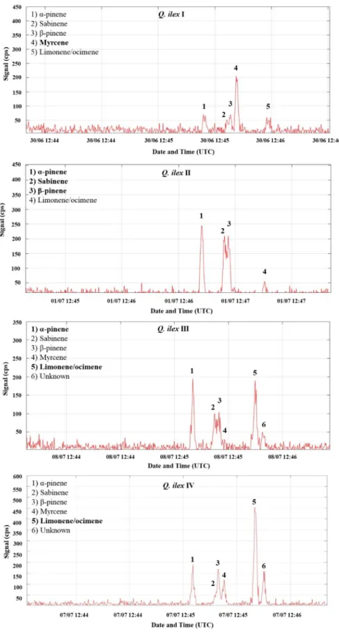 Figure 5. FastGC/PTR-MS chromatograms from the four Q. ilex branch enclosures at the same hour  of different days (around 12:45 UTC)