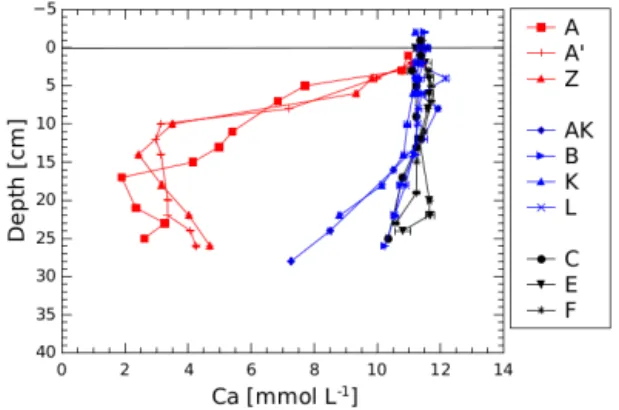 Figure 7. Porewater concentrations of Ca 2+ (mmol L −1 ); proximal domain in red, prodelta domain in blue and distal domain in black.