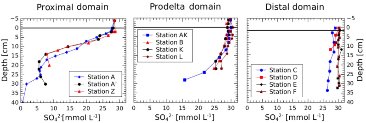 Figure 8. Sulfate profiles measured in the porewaters (mmol L −1 ) of the proximal, the prodelta and in the distal domains.