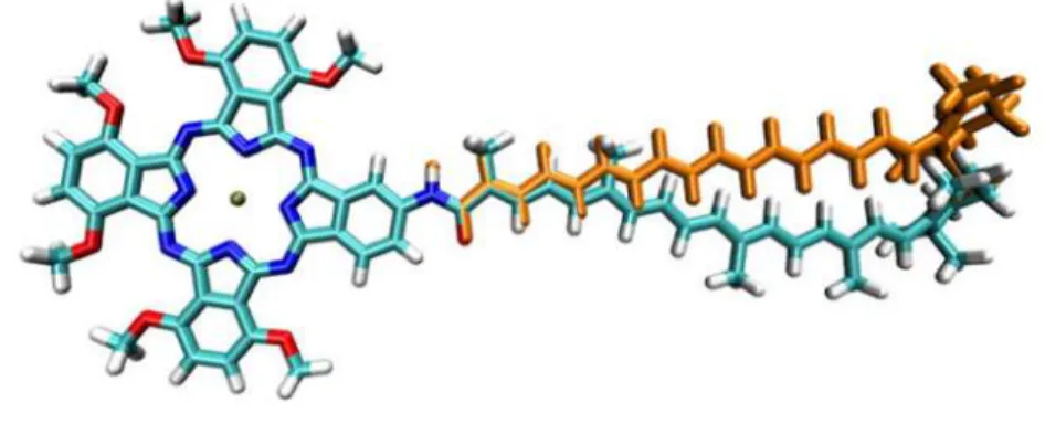 Figure 6.   The conformation of the carotenoid in the DFT optimized geometries of dyad-9' and 585  dyad-9'' (orange)