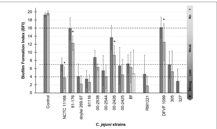 FIGURE 1 | Adhesion capability to polystyrene of Campylobacter jejuni is strain dependent