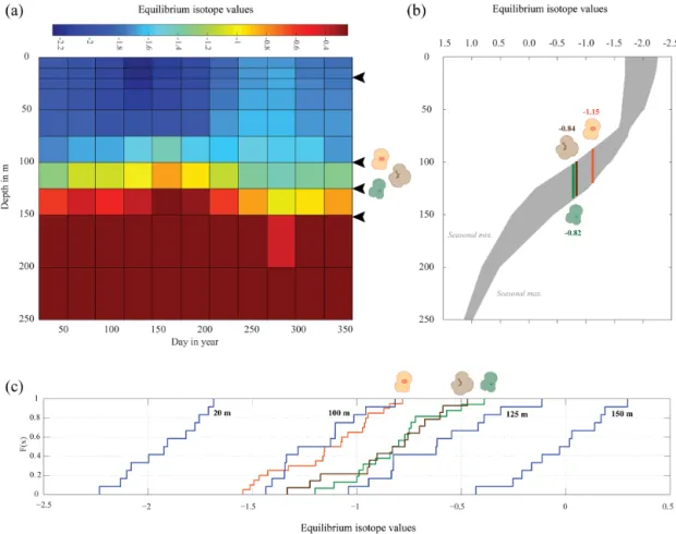 Figure 7. Season or depth, predicting likely depth habitats of planktonic foraminiferal species using inferred equilibrium oxygen isotope values (δ 18 O eq )