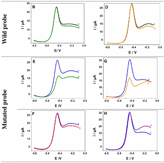 Figure 5. SWVs responses of various E-DNA biosensors(E-wDNA, E-mDNA) for detection  of wild type DNA (w-DNA) and mutated genomic matrix DNA (mDNA) after 35 cycles of  PCR amplification (A, B, E, F) and non-amplified DNA samples (C; D, G, H); (A) E-wDNA  bi