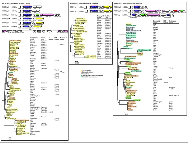 Fig. 2. Linear representations of the MOB RNA  plasmids of our collection [8] and maximum-likelihood phylogenetic trees of all of the  MOB RNA  plasmids, including those from the NCBI database (see main text for their selection) reconstructed as described 