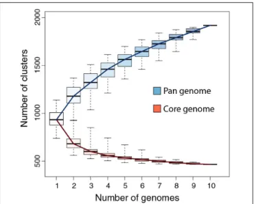 FIGURE 2 | Dot plot (nucleotide) comparison of the p. celtis vs. p. quercus genomes. Computations and display were generated using Gepard (Krumsiek et al., 2007)