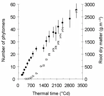 Fig. 4 Comparison of phytomer appearance (closed dots) and increase in root dry matter (open dots) as  functions of thermal time since emergence