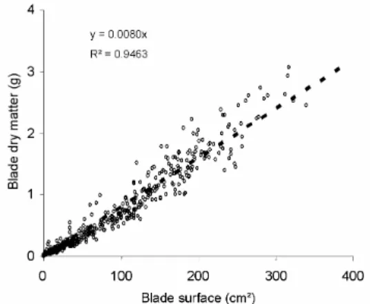 Fig. 6 Blade dry mass against blade surface for all measured data and results of the linear regression   