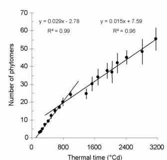 Fig. 3 Number of phytomers as a function of thermal time (base temperature: 0°C) since emergence