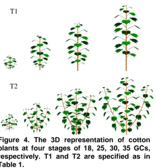 Figure 4. The 3D representation of cotton  plants at four stages of 18, 25, 30, 35 GCs,  respectively