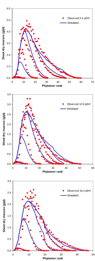 Figure 6: Average plants of shoot dry masses organ level  according to phytomer rank: experimental data (dots) and 