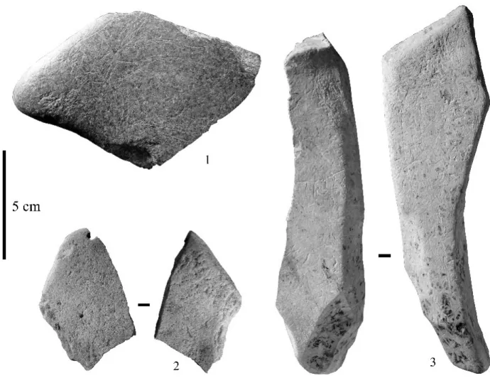 Fig. 7  : Maillets de l’abri Bourdois. 1, AB RSC  ; 2, AB RSB2  ; 3, AB Bte 91.