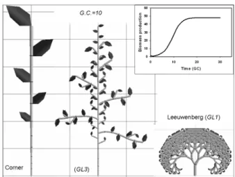 Figure 4. Simulation of plant growth with different topologies but same biomass production (Case 1: