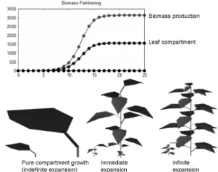 Figure 6. Examples of simulated plants with same biomass production and allocation to blade and  in-ternode compartments