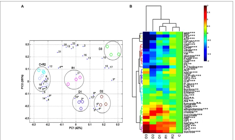 FIGURE 4 | Statistical analysis and visualization of changes in metabolomics data of H