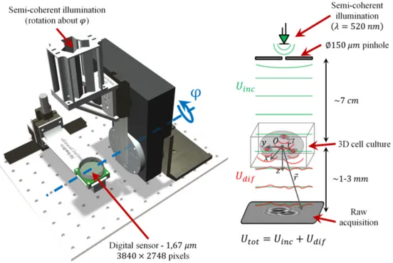 Fig. 1. Left-hand side - Experimental bench dedicated to lensfree diffractive tomography.