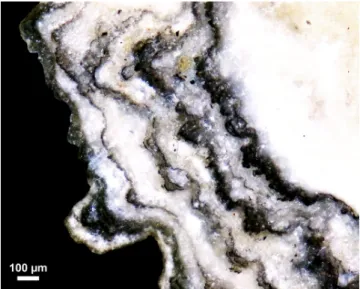 Fig. 4. Observation of sample E ! 123 at high magni ﬁ cation showing multiple soot deposits in the form of very thin black laminae