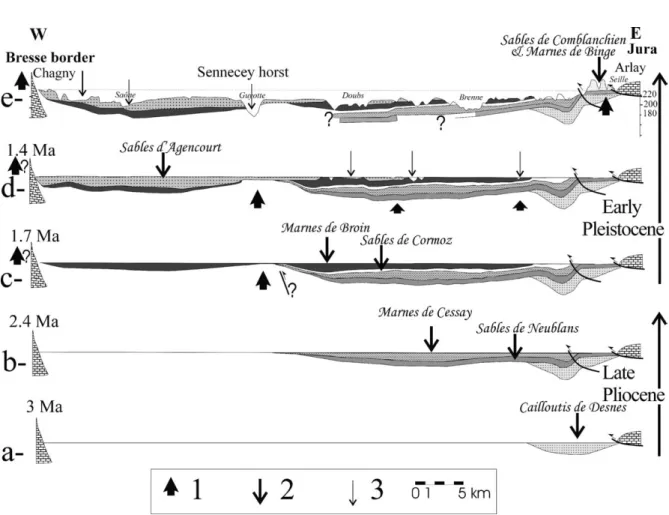 Fig. 11 . Reconstruction of the structural evolution of the Bresse graben from Pliocene to present-day by putting back beds to flat, using an E–W trending synthetic cross-section [41] from Chagny to Arlay (position E-E ′ on Fig