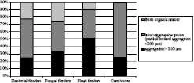 Figure 11. Distribution of the different feeding groups of soil  nematodes  between  soil  fractions  (in  %  of  the  total nematode number in the soil sample)