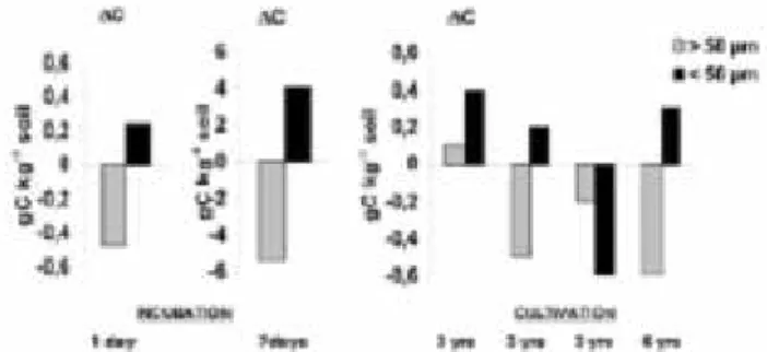 Figure 10. Variation in C content (∆C) in two organic fractions in soils (clay content from  8 to 22%) with inoculated earthworms as compared with soils without earthworms