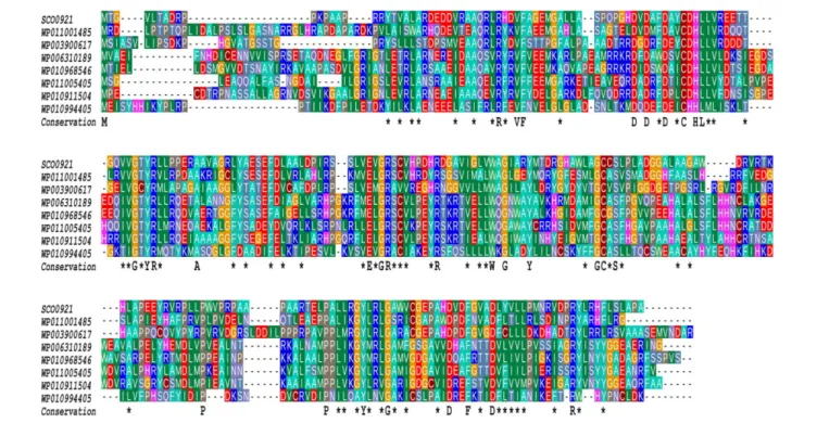 FIGURE 6 | Multiple sequence alignment of SCO0921 with representative members of COG3176, a Conserved Domain Database (CDD) family of putative hemolysins (Lu et al., 2020)