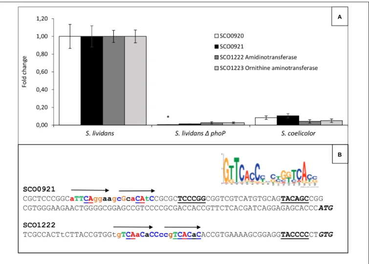 FIGURE 2 | Determination in qRT-PCR of relative expression of genes of the sco0921-0920 and sco1222-1223 operons in S