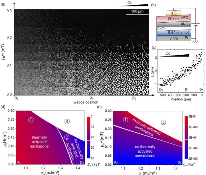 Figure  1:  (a)  Polar  Kerr  magnetic  images  of  the  labyrinthine  and  skyrmion  bubble  states  in  the  Pt/Co/oxide trilayer