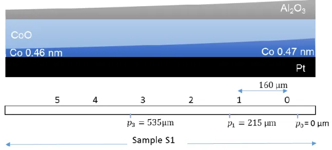 Figure S1 : Schematic representation of  the sample A1 with the 0-5 and 
