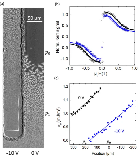 Figure S6: (a) Polar Kerr image of the labyrinthine domains under electric field at zero applied magnetic field